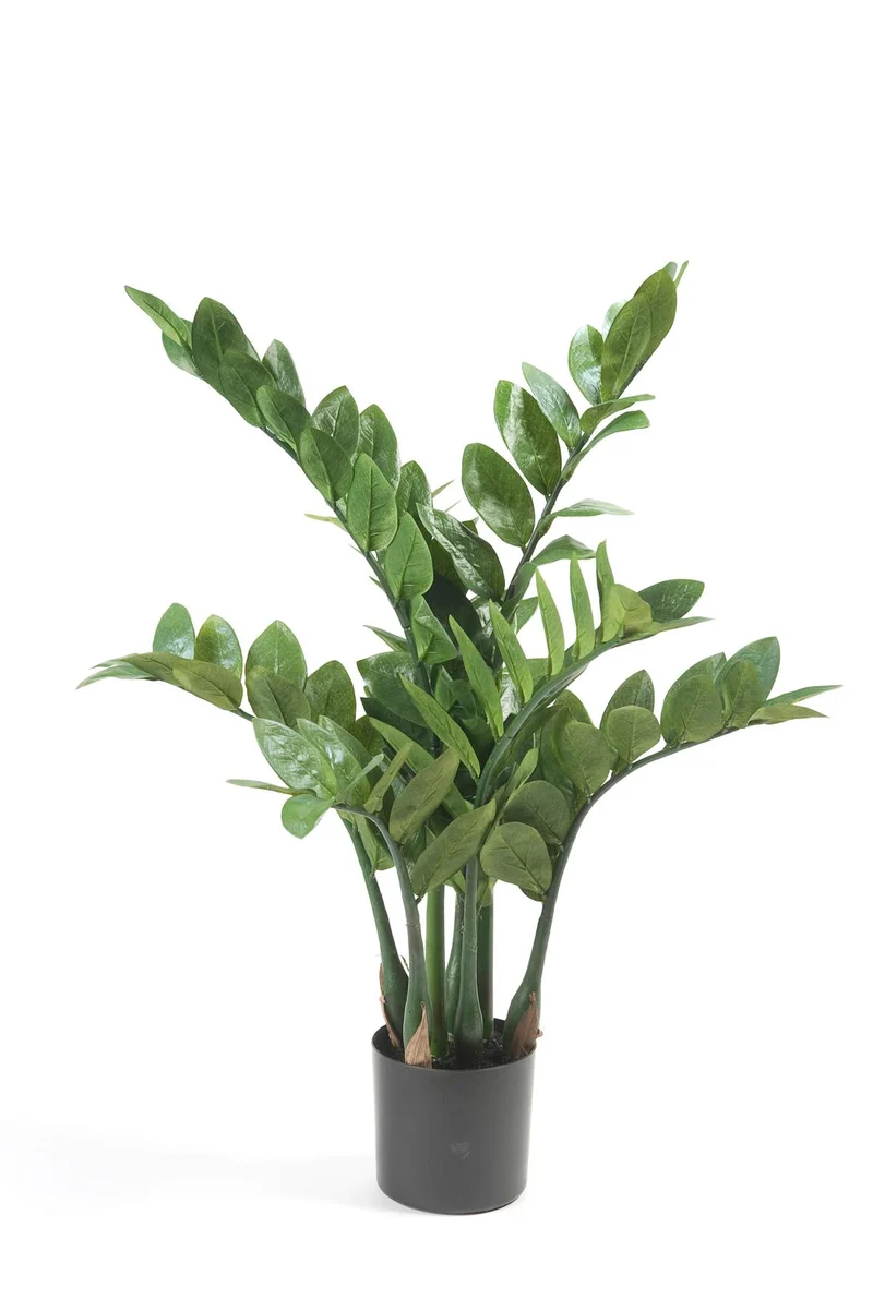 Kunstplant - Zamioculcas - Kamerpalm