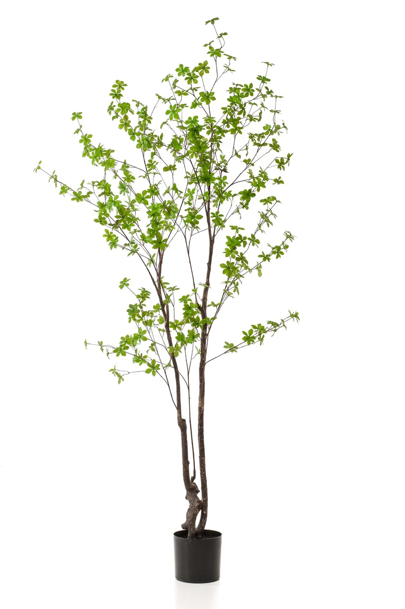 Kunstplant - Tropaeolum Speciosum - Oost Indische Kers