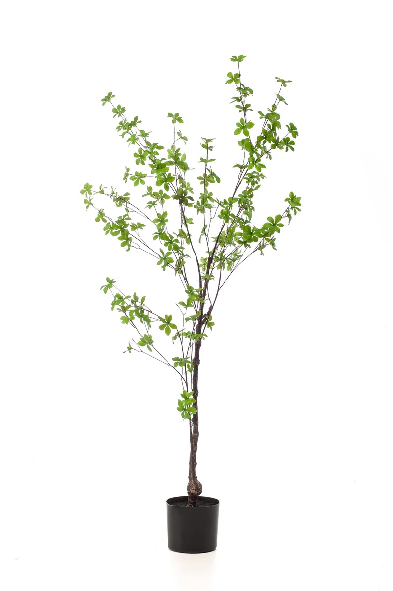 Kunstplant - Tropaeolum Speciosum - Oost Indische Kers
