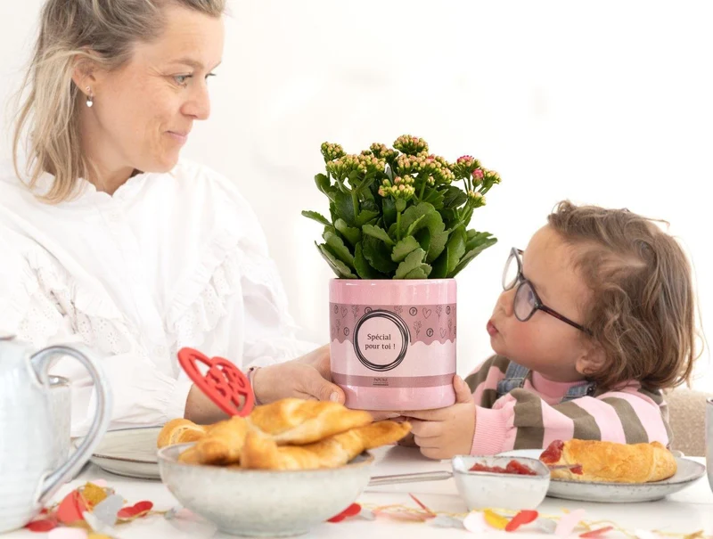 Kalanchoe Pink In P&PURE "SPECIAL POUR TOI" Verpakking
