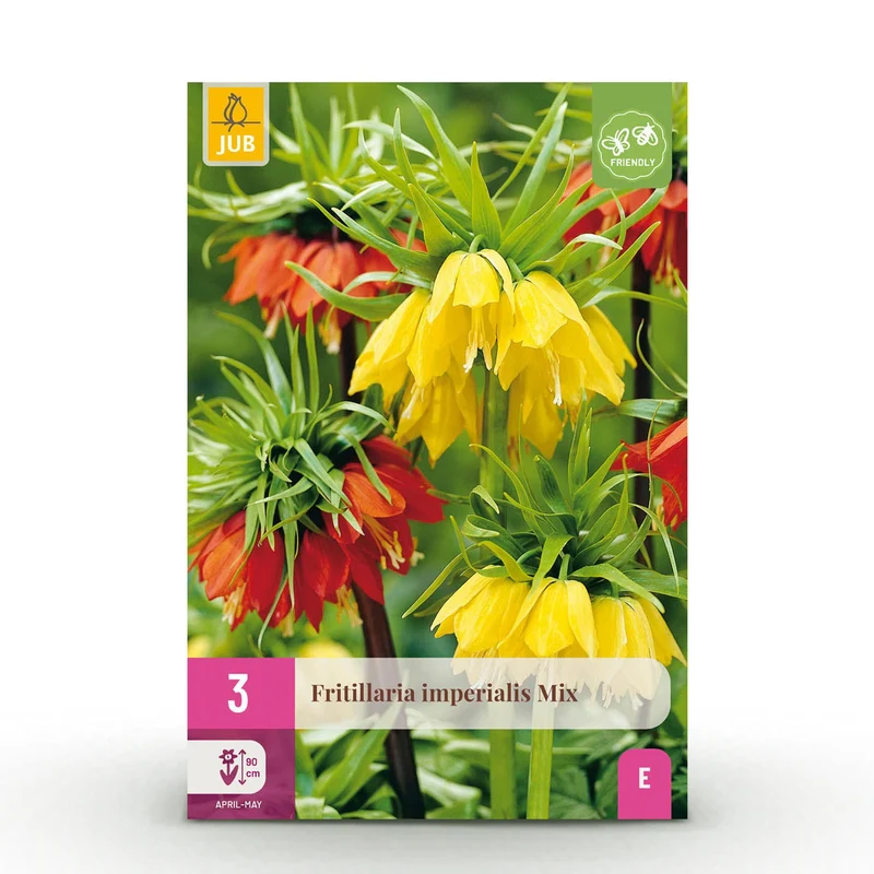 Fritillaria Imperialis Mix