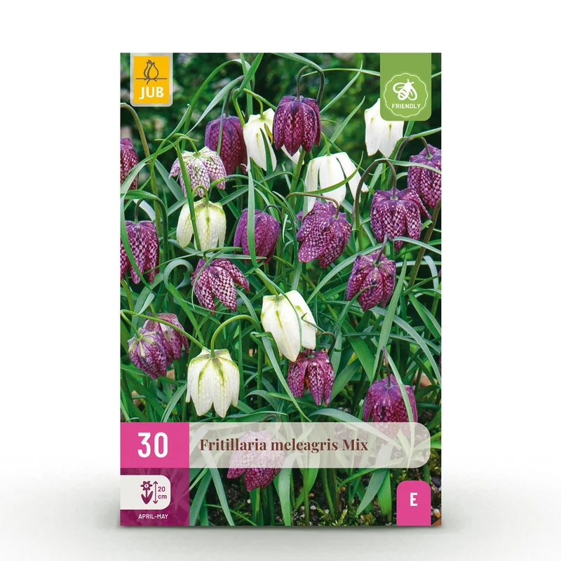 Fritillaria Meleagris Mix