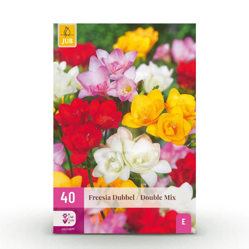 Freesia Double Mix