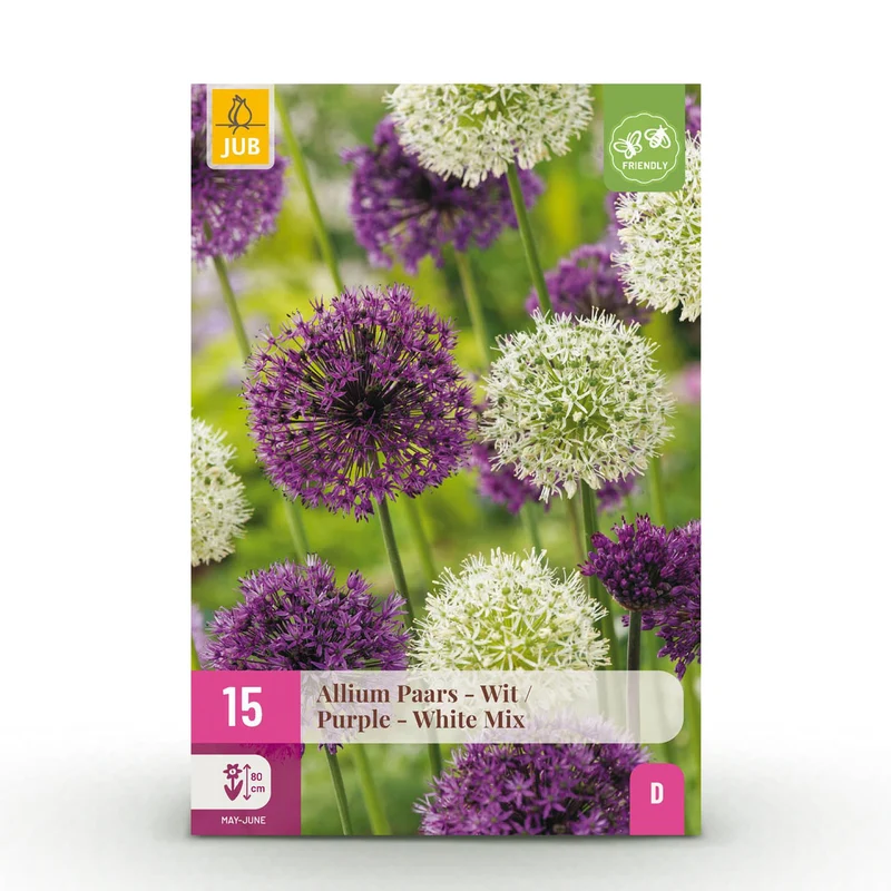 Allium Purple White Mix