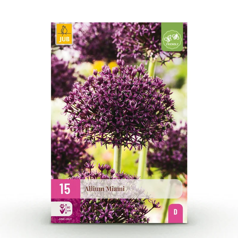 Allium Miami