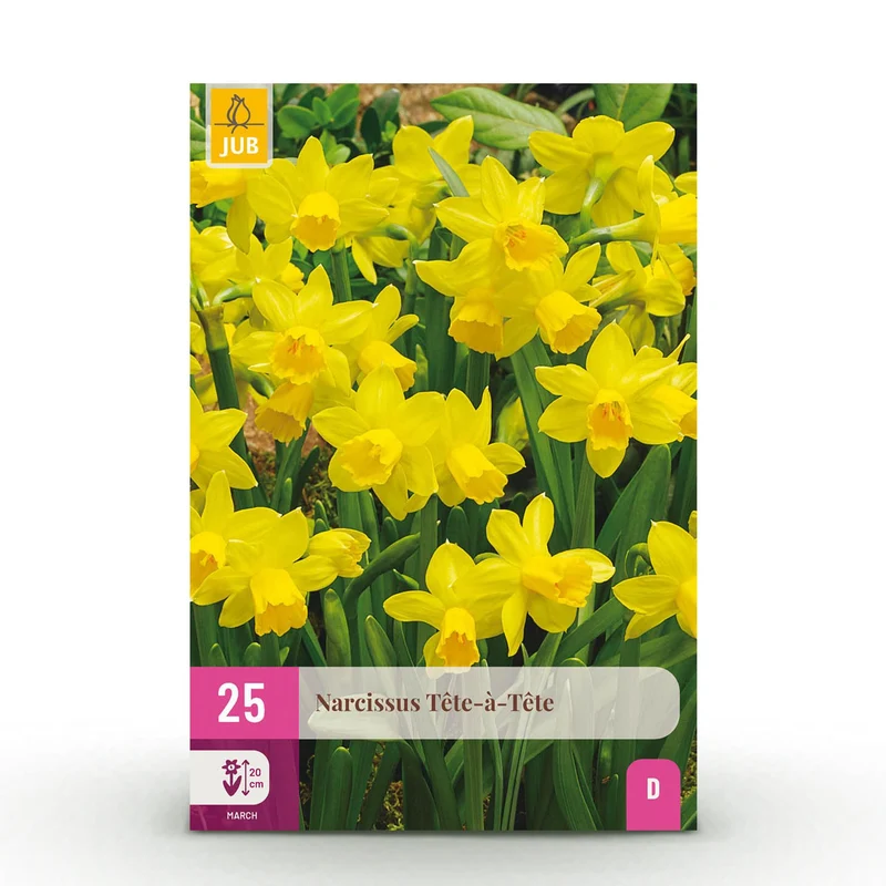 Narcis Tete