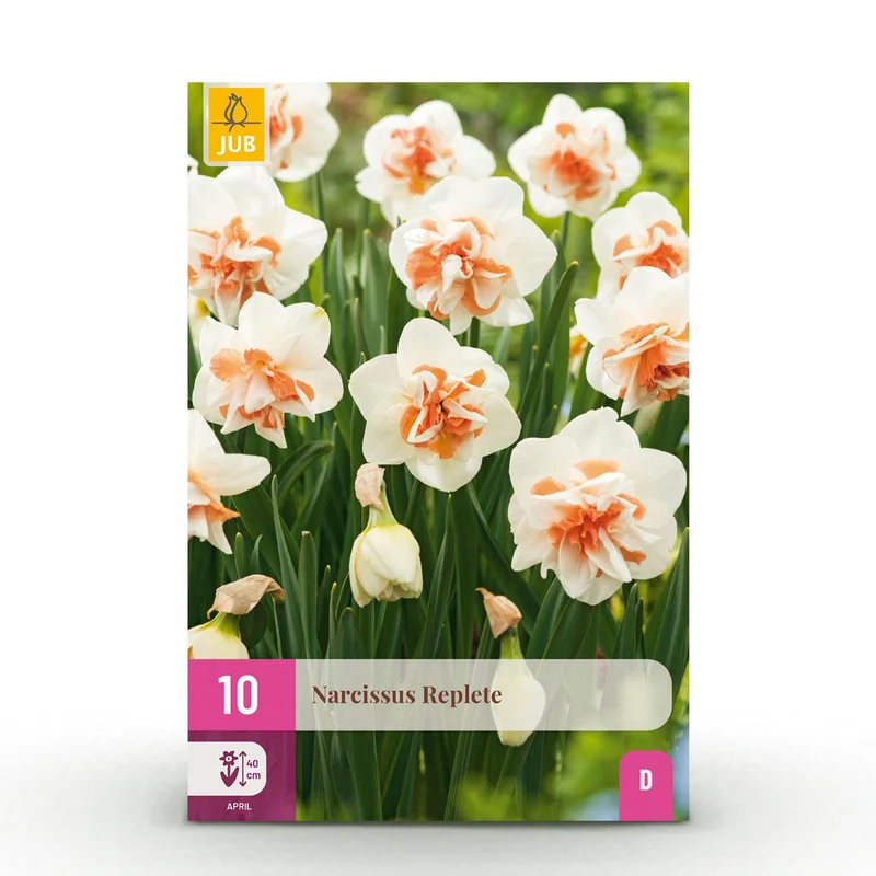 Narcis Replete