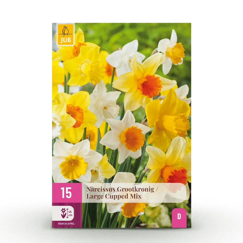 Narcis Large Cupped mix