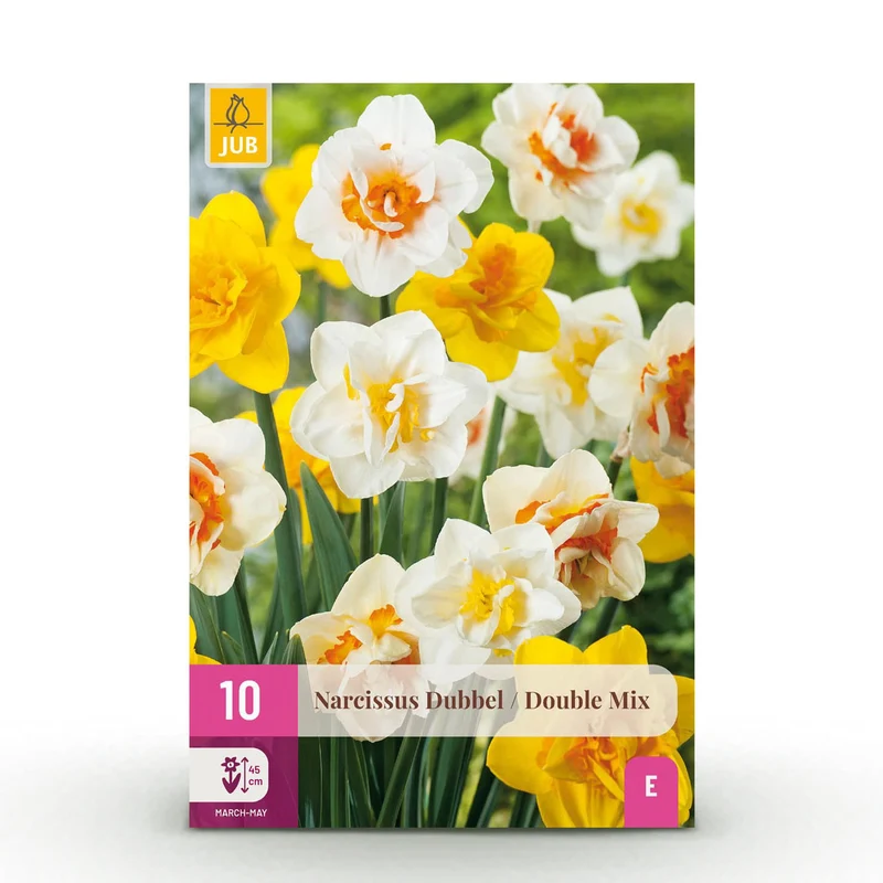 Narcis Double mix