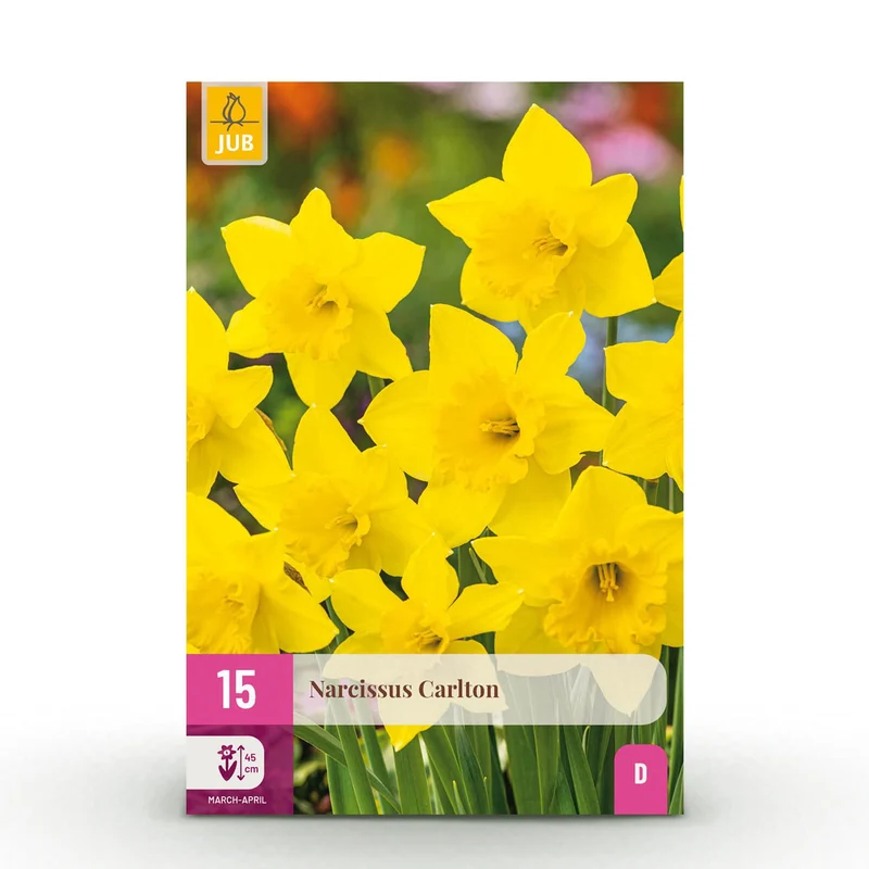 Narcis Carlton