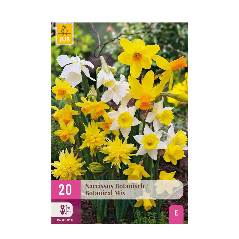 Narcis Botanical mix
