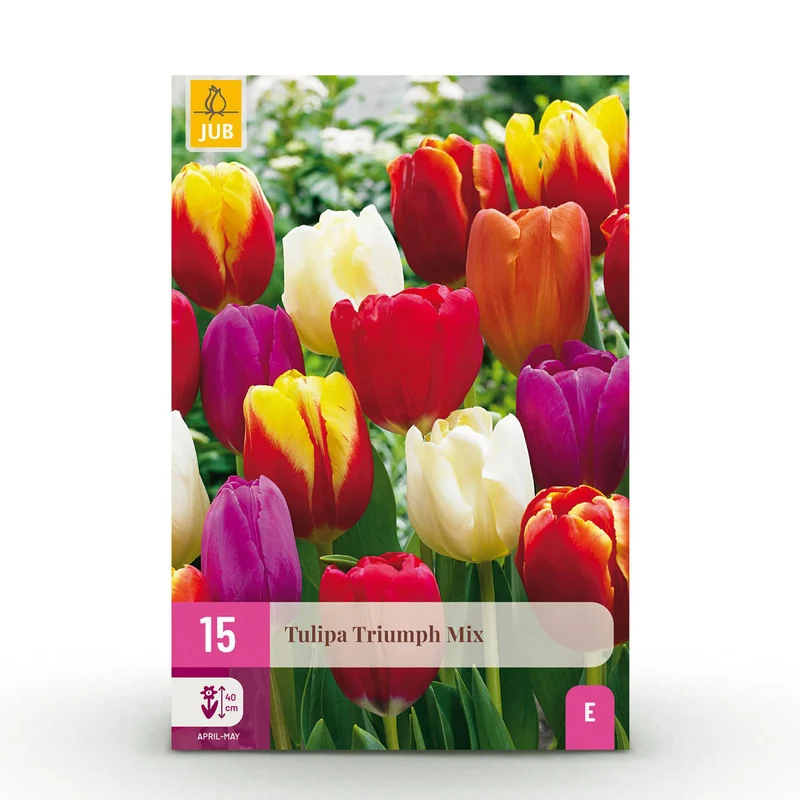 Tulp Triumph mix