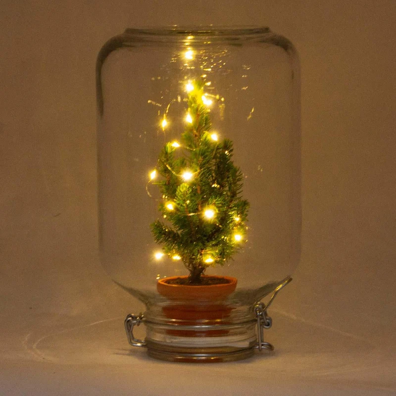 Easyplant - Christmas - Kerst decoratie