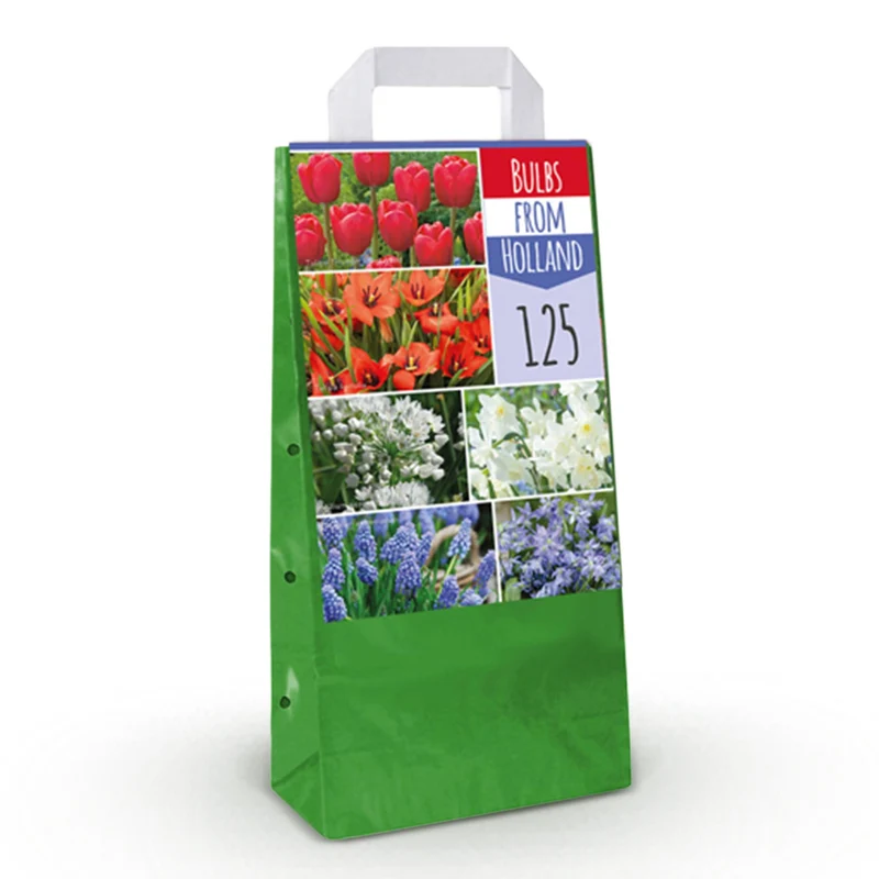 Bulbs From Holland
