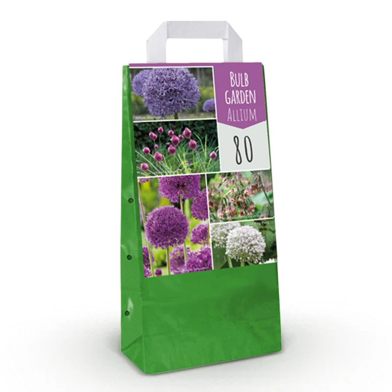 Bulb Garden Allium mix