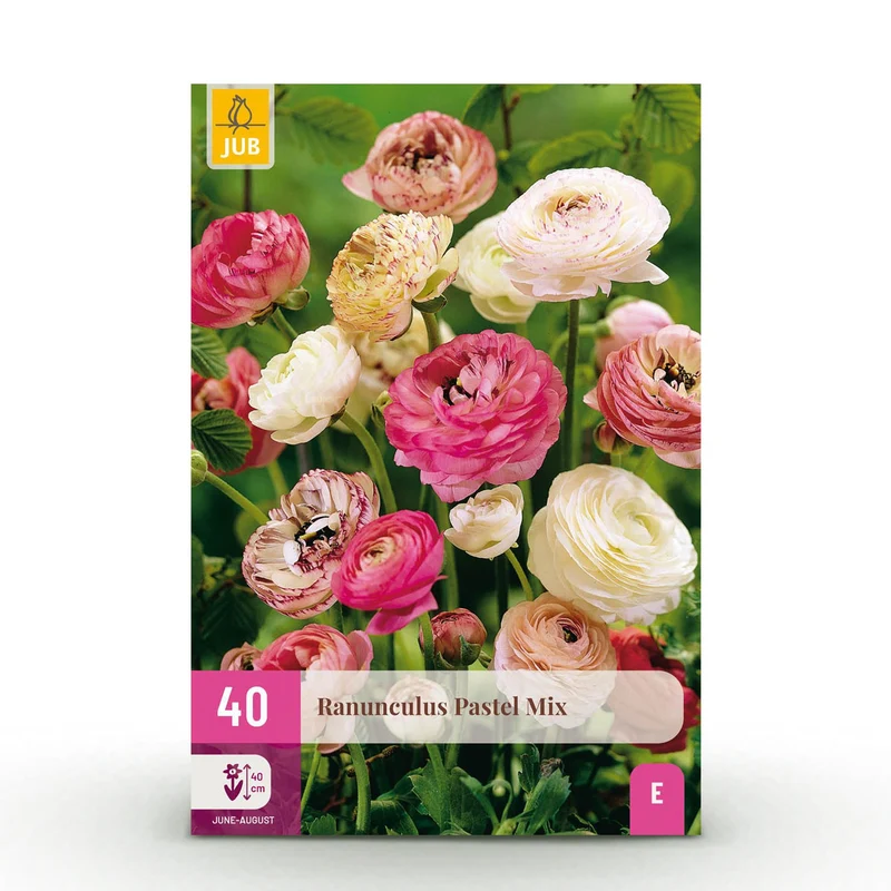 Ranunculus Pastel Mix
