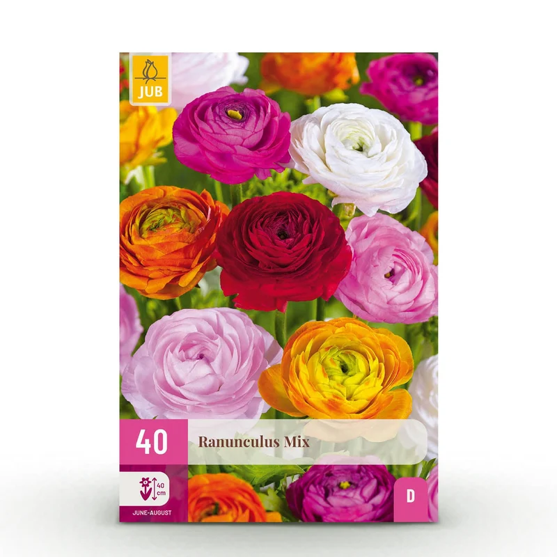 Ranunculus Mix