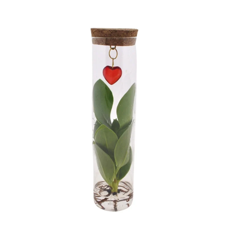 Mix In Tube Glas + Jewel (hartje)