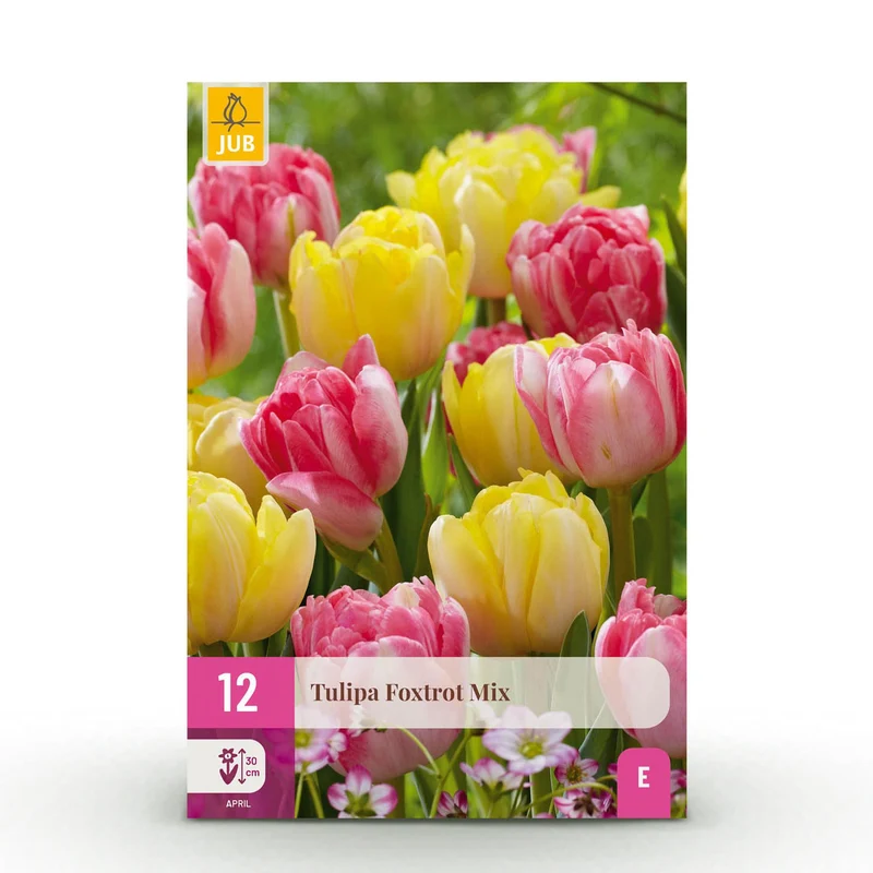 Tulp Foxtrot mix