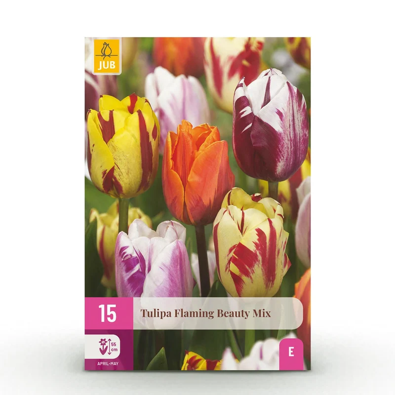 Tulp Flaming Beauty mix