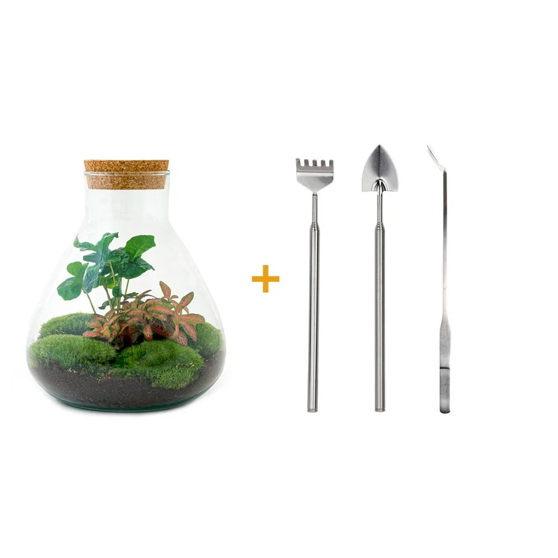 DIY terrarium - Sammie Coffea Red - Met hark, schep en pincet