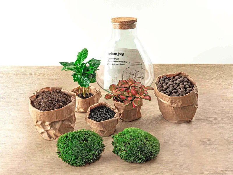 DIY terrarium - Sammie Coffea Red - Zonder gereedschap