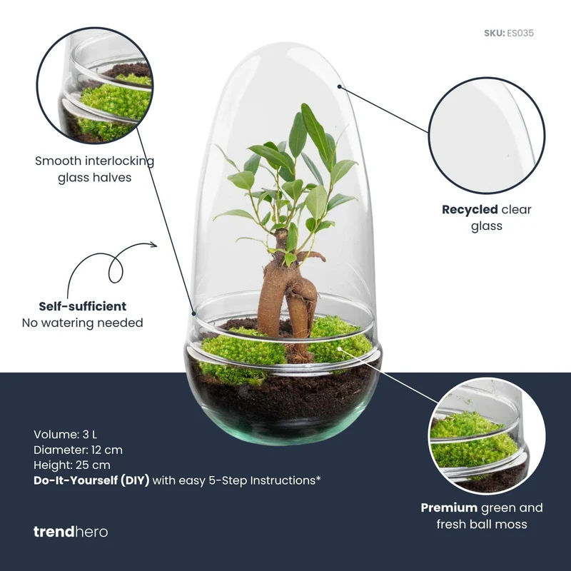 DIY Planten terrarium tweedelig bolglas - Egg Bonsai