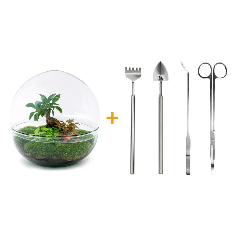 DIY Planten terrarium tweedelig bolglas - Dome XL Bonsai - Met complete gereedschapsset