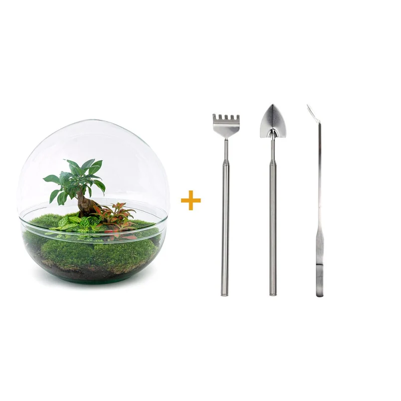 DIY Planten terrarium tweedelig bolglas - Dome XL Bonsai - Met hark, schep en pincet