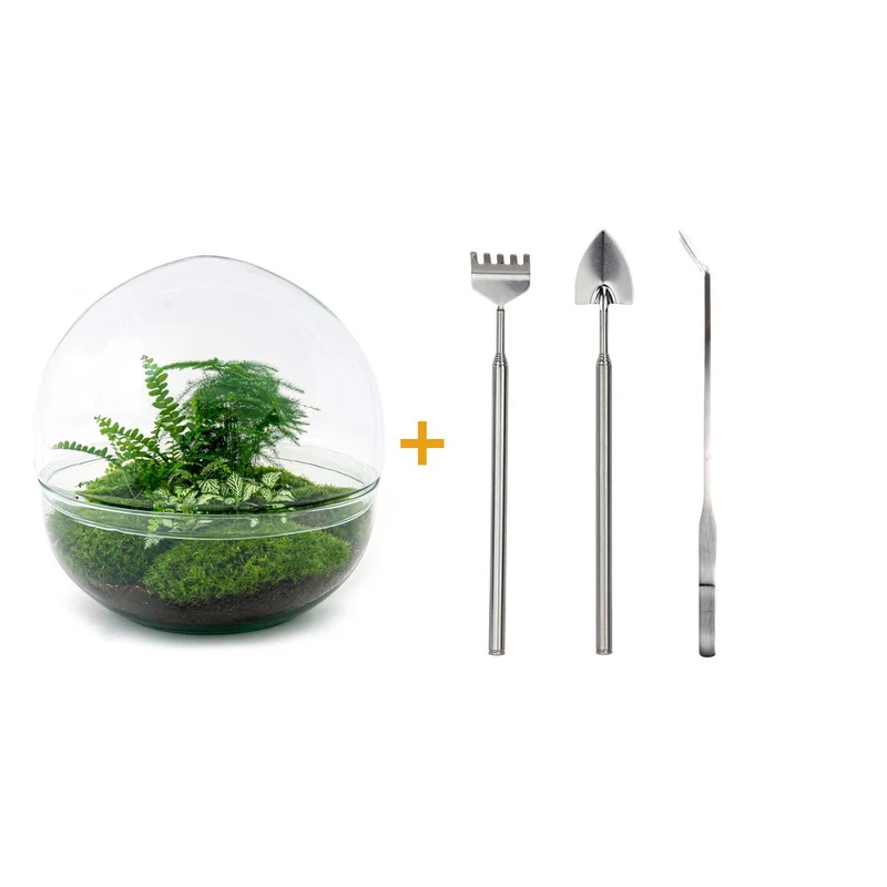 DIY Planten terrarium tweedelig bolglas - Dome XL - Met hark, schep en pincet