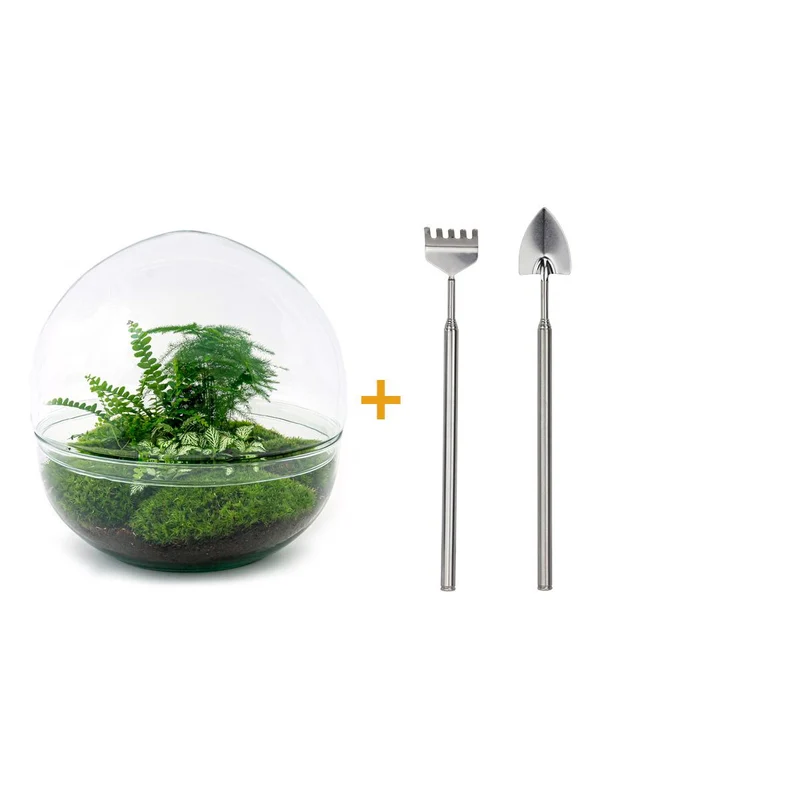 DIY Planten terrarium tweedelig bolglas - Dome XL - Met hark en schep