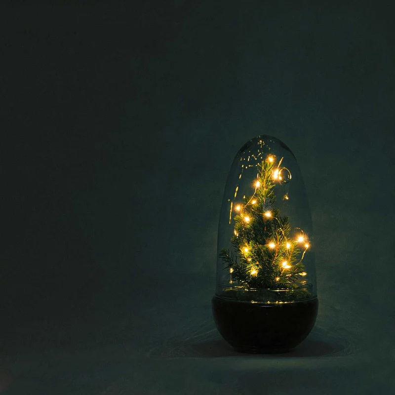 DIY terrarium - Egg Christmas - Kerst decoratie