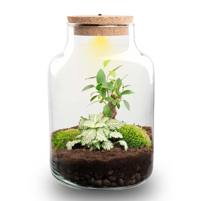 DIY Planten terrarium met licht - Little Milky Bonsai