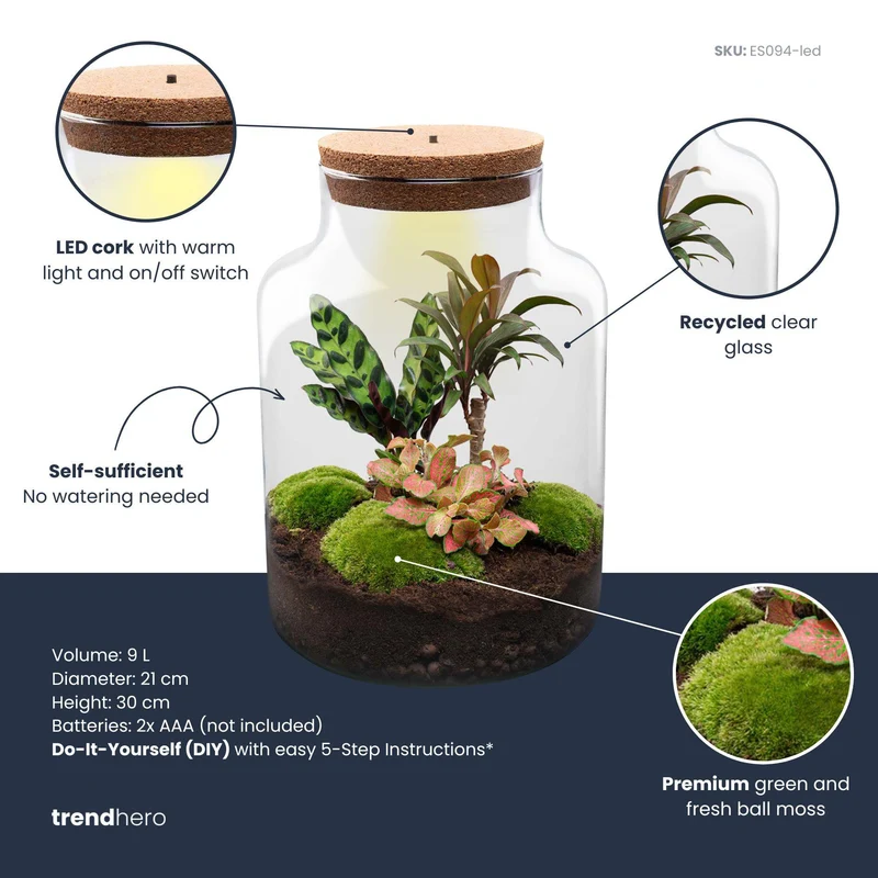 DIY Planten terrarium met licht - Milky Palm