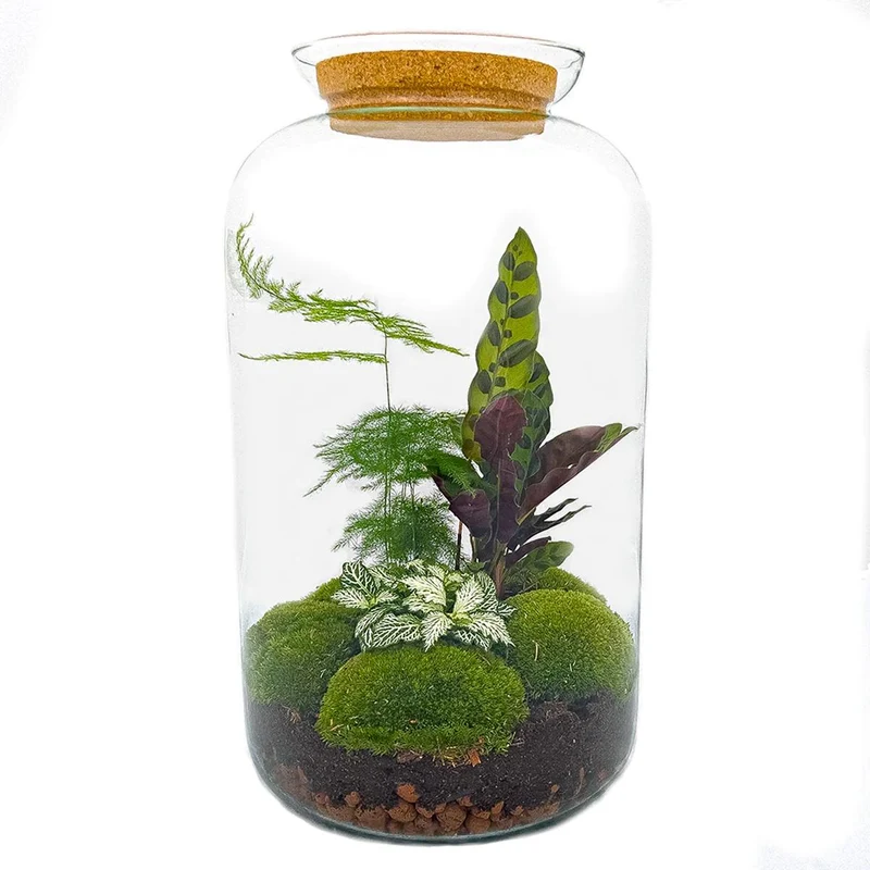 DIY Planten terrarium met licht - Sven XL Botanical - Met hark, schep en pincet