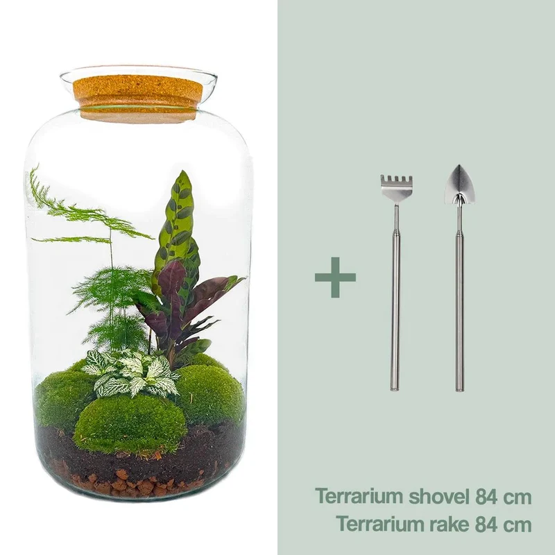 DIY Planten terrarium met licht - Sven XL Botanical - Met hark en schep
