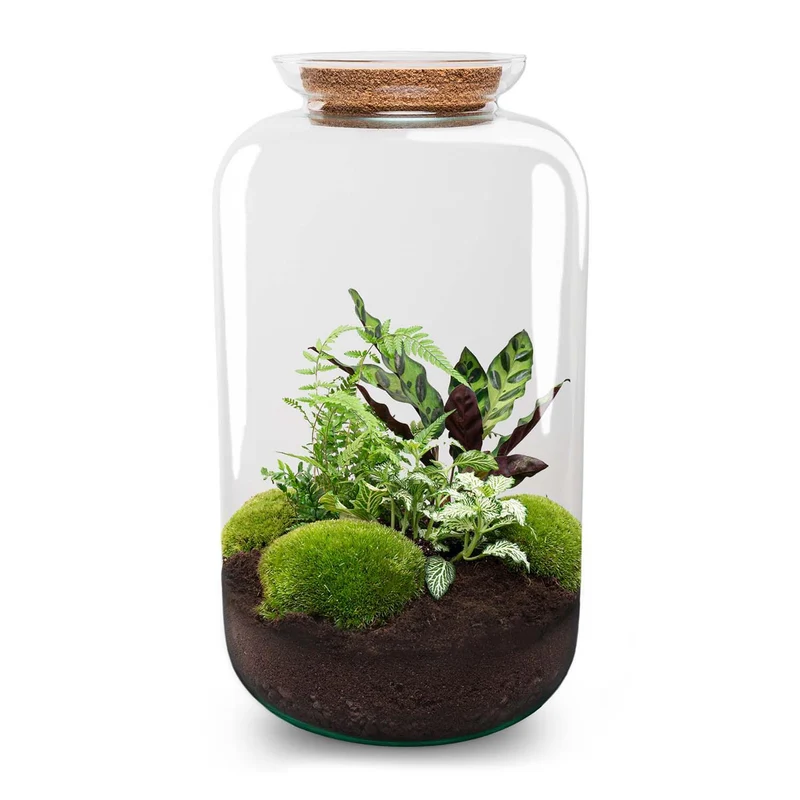 DIY Planten terrarium met licht - Sven XL Botanical - Zonder gereedschap