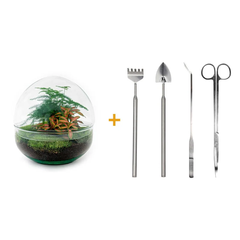 DIY Planten terrarium tweedelig bolglas - Dome Red - Met complete gereedschapsset