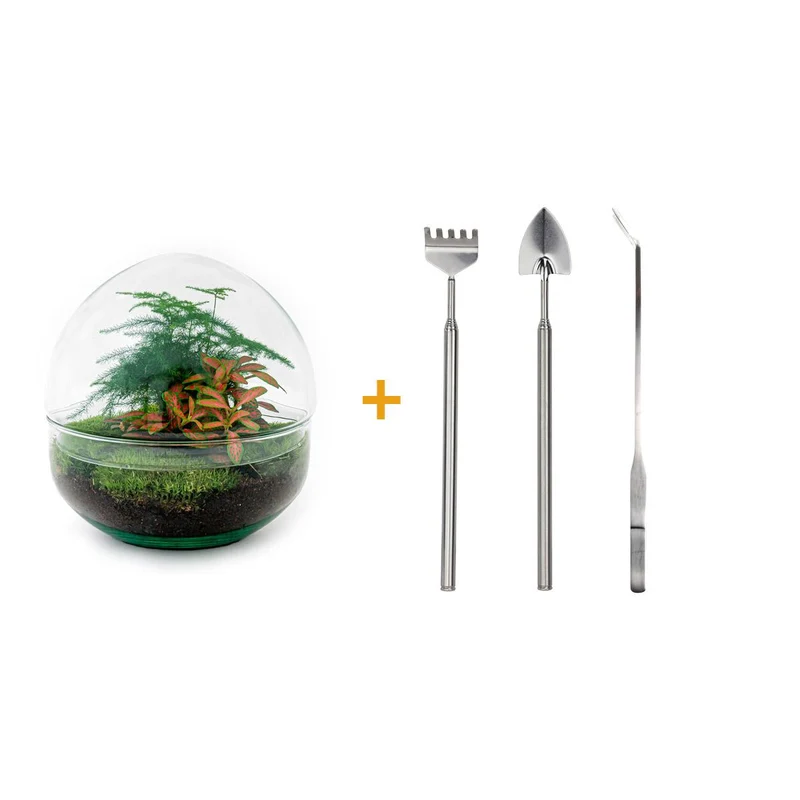 DIY Planten terrarium tweedelig bolglas - Dome Red - Met hark, schep en pincet