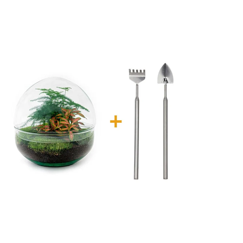 DIY Planten terrarium tweedelig bolglas - Dome Red - Met hark en schep