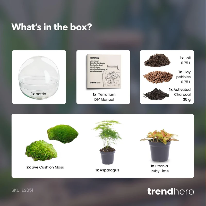 DIY Planten terrarium tweedelig bolglas - Dome Red - Zonder gereedschap