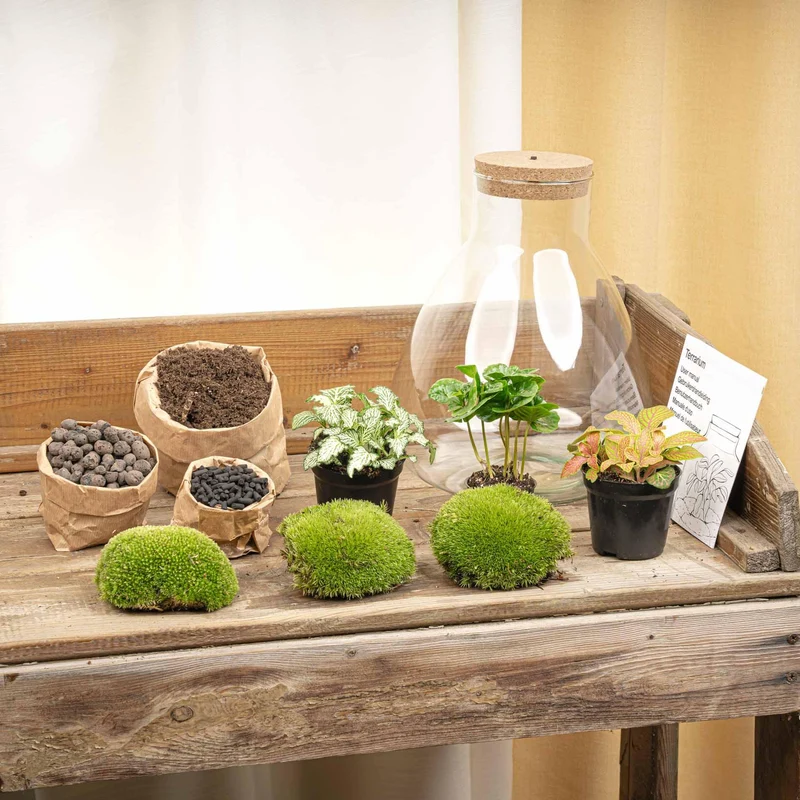 DIY Planten terrarium met licht - Sam Coffea