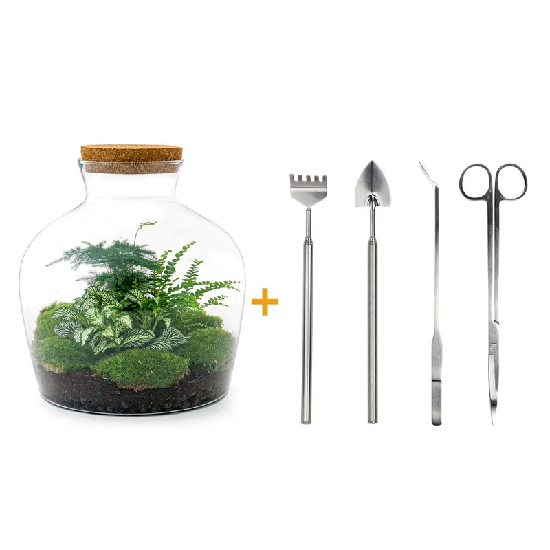 DIY Planten terrarium met licht - Fat Joe Green - Met complete gereedschapsset