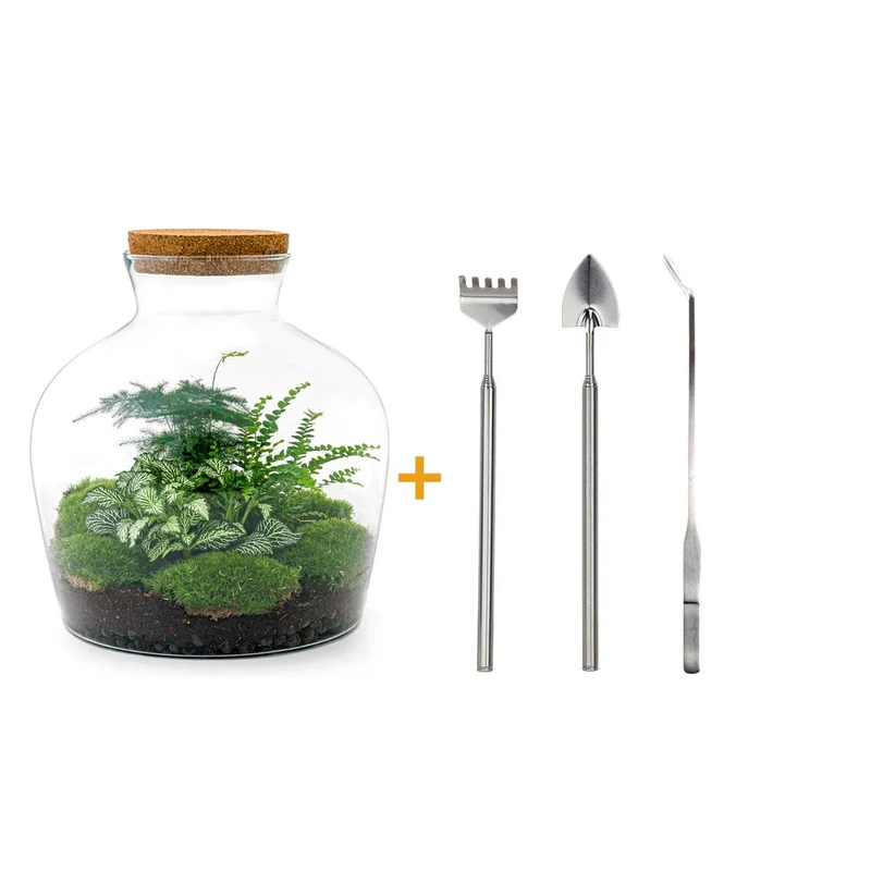 DIY Planten terrarium met licht - Fat Joe Green - Met hark, schep en pincet