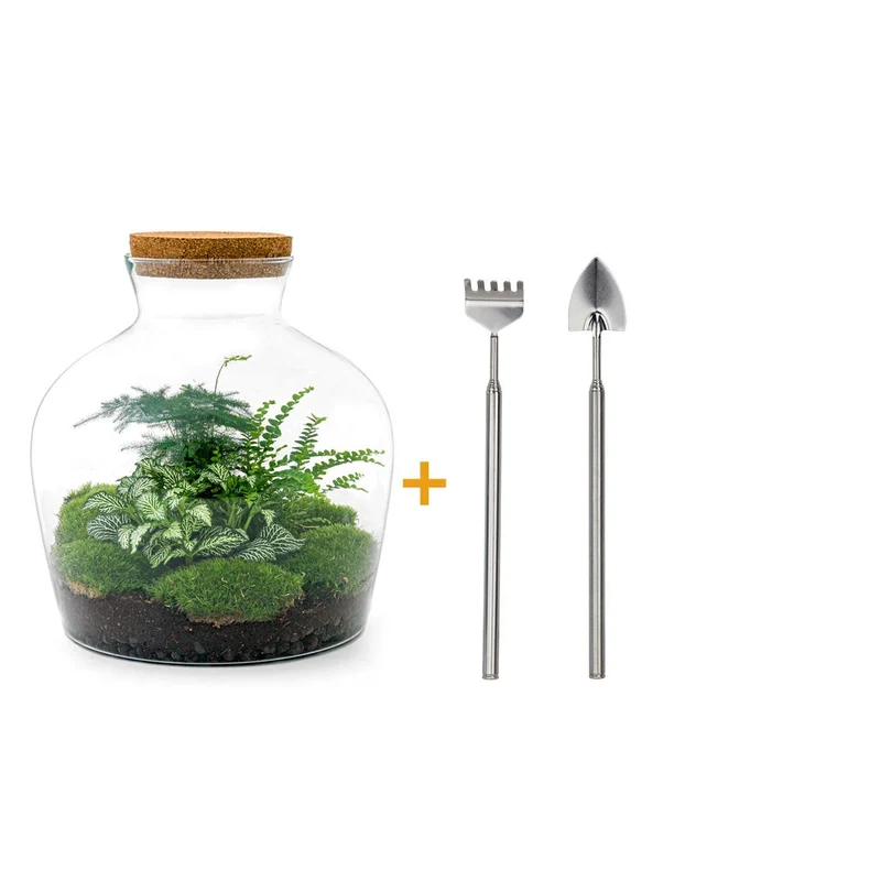 DIY Planten terrarium met licht - Fat Joe Green - Met hark en schep