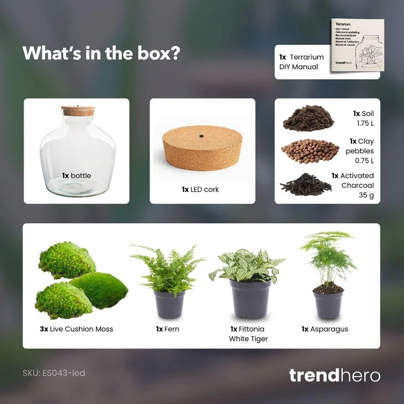 DIY Planten terrarium met licht - Fat Joe Green - Zonder gereedschap
