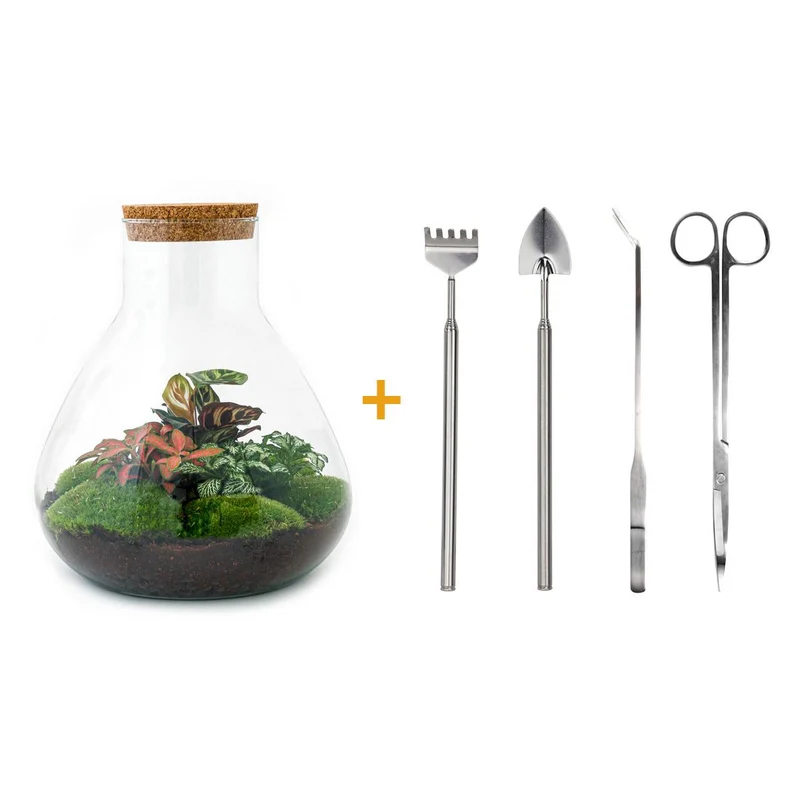 DIY Planten terrarium met licht - Sam XL Red - Met complete gereedschapsset