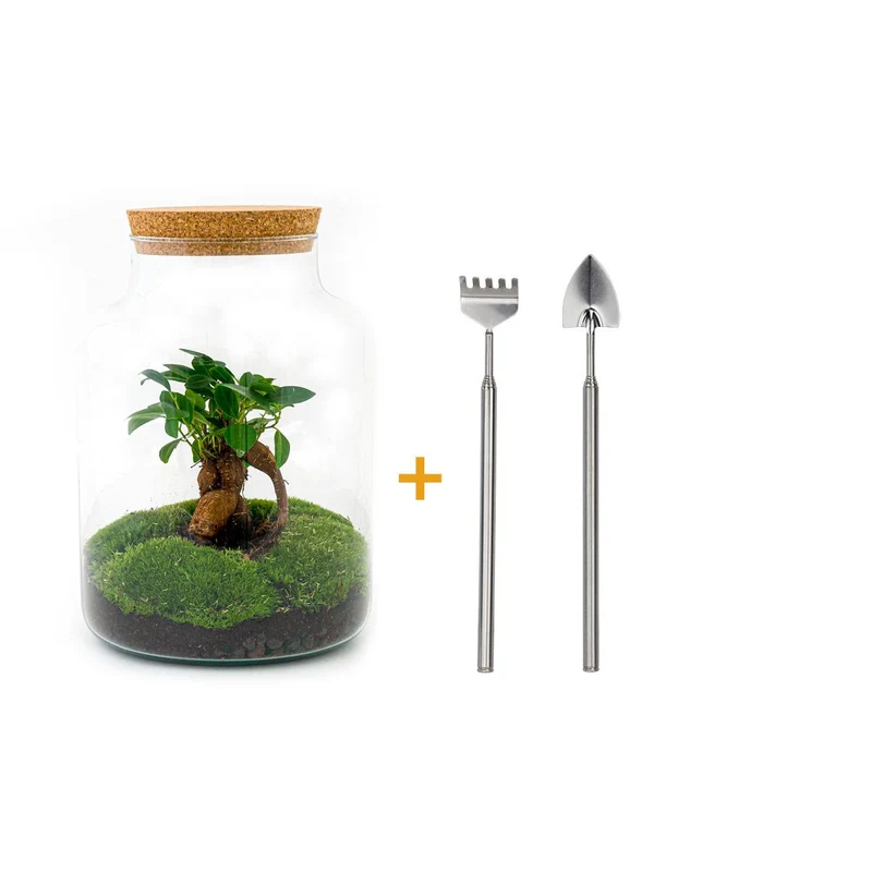 DIY Planten terrarium met licht - Milky Bonsai - Met hark en schep