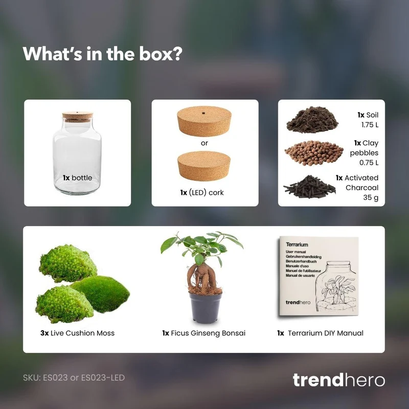 DIY Planten terrarium met licht - Milky Bonsai - Zonder gereedschap