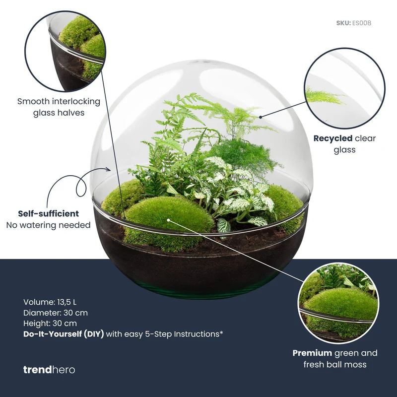 DIY Planten terrarium tweedelig bolglas - Dome XL - Zonder gereedschap